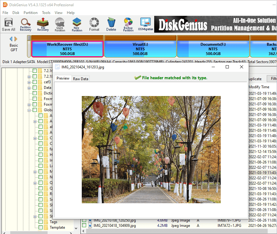 Recover Data after Formatting Hard Drive